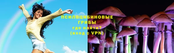 шишки Богородск