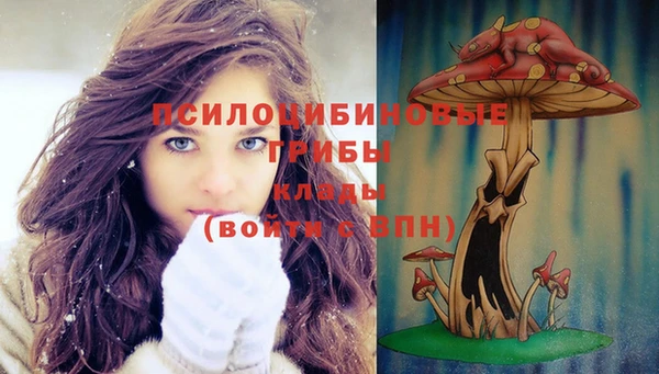 PSILOCYBIN Богородицк