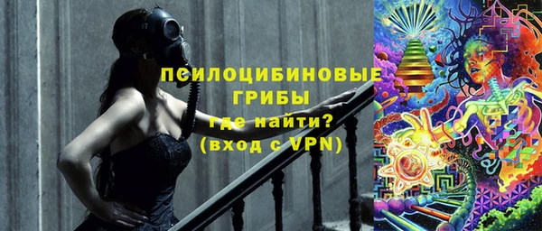 PSILOCYBIN Богородицк