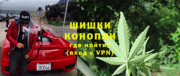 PSILOCYBIN Богородицк