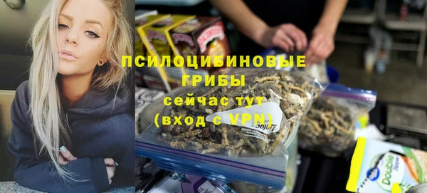шишки Богородск