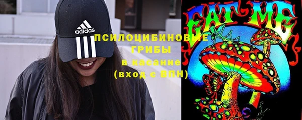 мет Богданович
