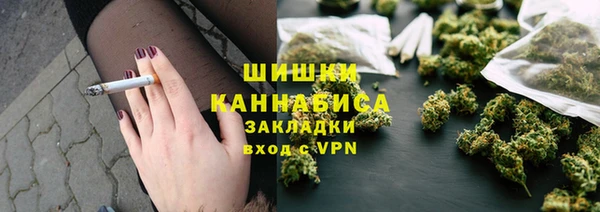 шишки Богородск