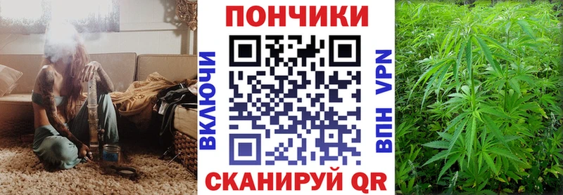 что такое   Дмитриев  это официальный сайт  Каннабис Bruce Banner 